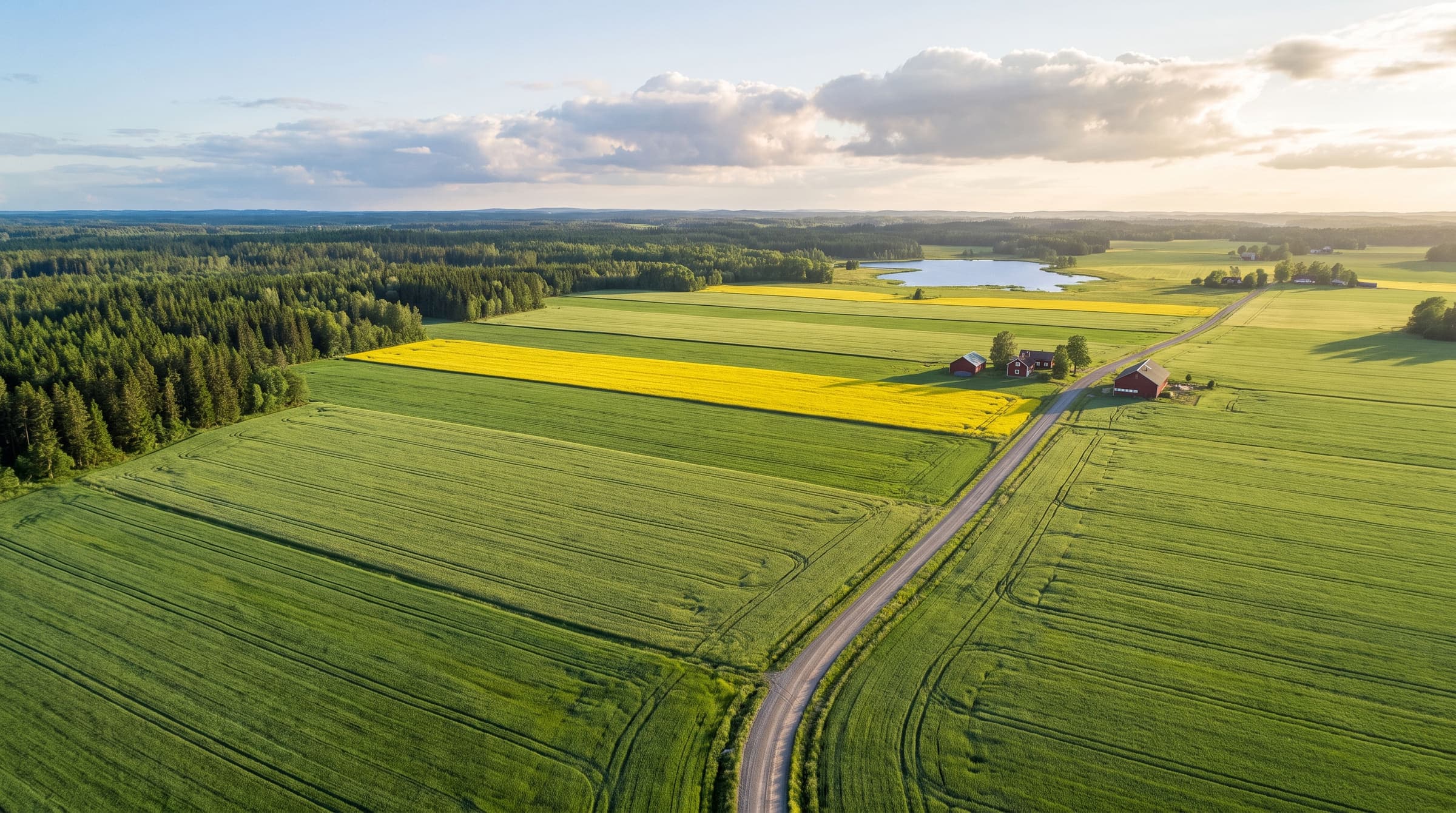 Åkerlandskap i Östergötland fotograferat från drönare en sommarkväll